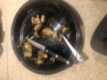 resIMG_20190624_104926_5636.JPG